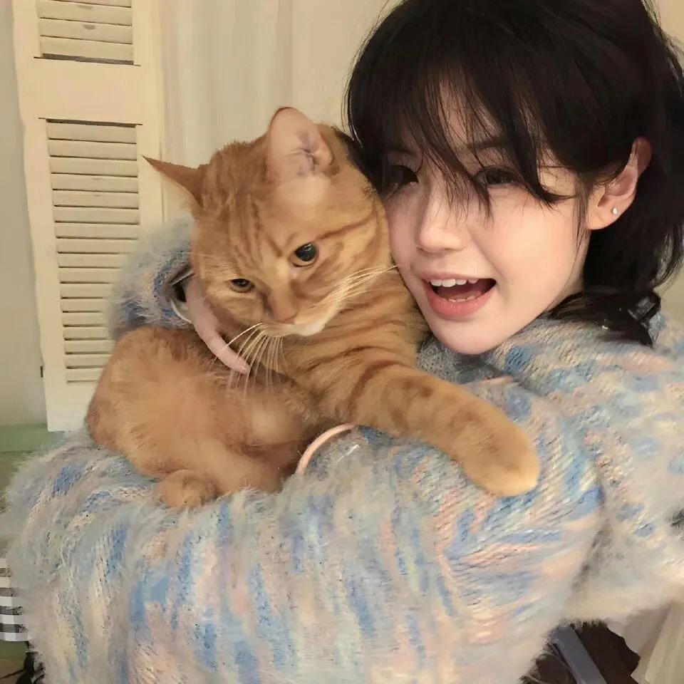 机动战士高达0079